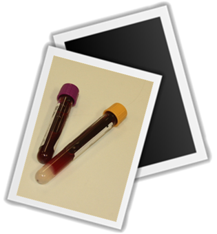 New Picture (21).png