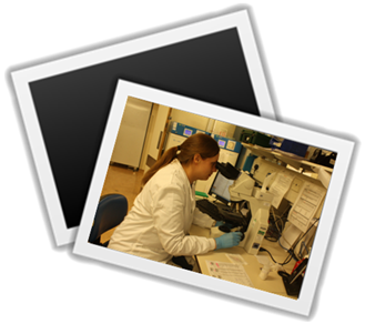 New Picture (23).png