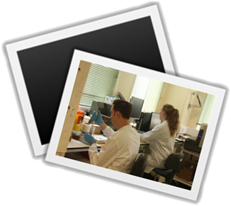 New Picture (24).png