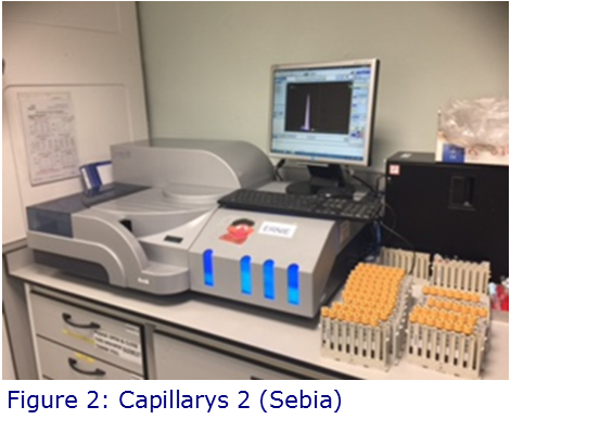 CDT Capillarys 2 Sebia.png