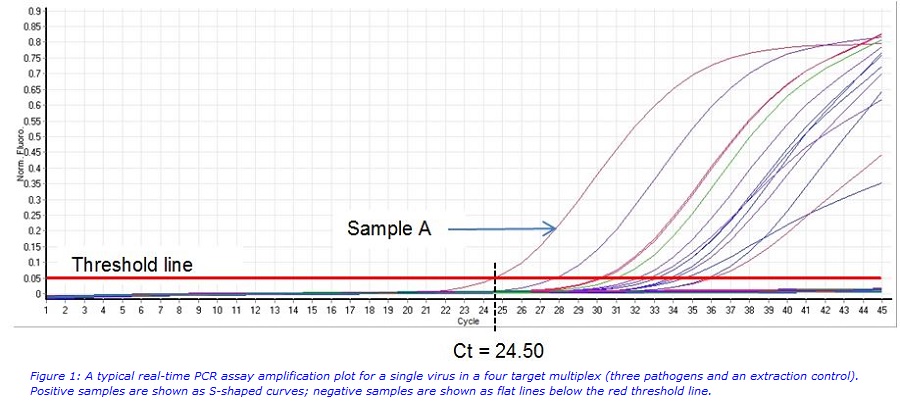 automatin image website_1.jpg