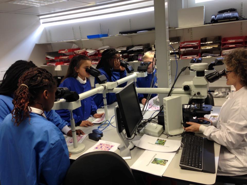 Oasis Acad visit1.jpg